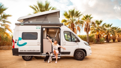 Girl sitting with her 2 dogs on the door step of a roadsurfer campervan with open roof and palm trees behind.