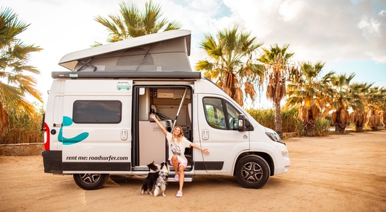 Girl sitting with her 2 dogs on the door step of a roadsurfer campervan with open roof and palm trees behind.