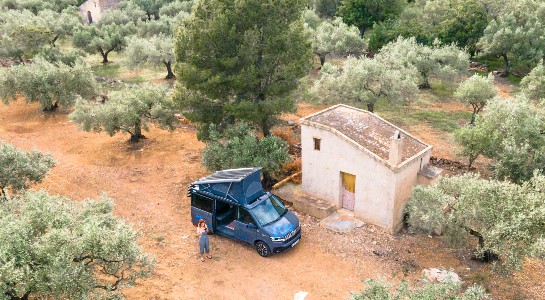 girl standing next to a campervan in an olive tree field
