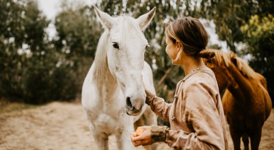 girl with a white horse on a farm