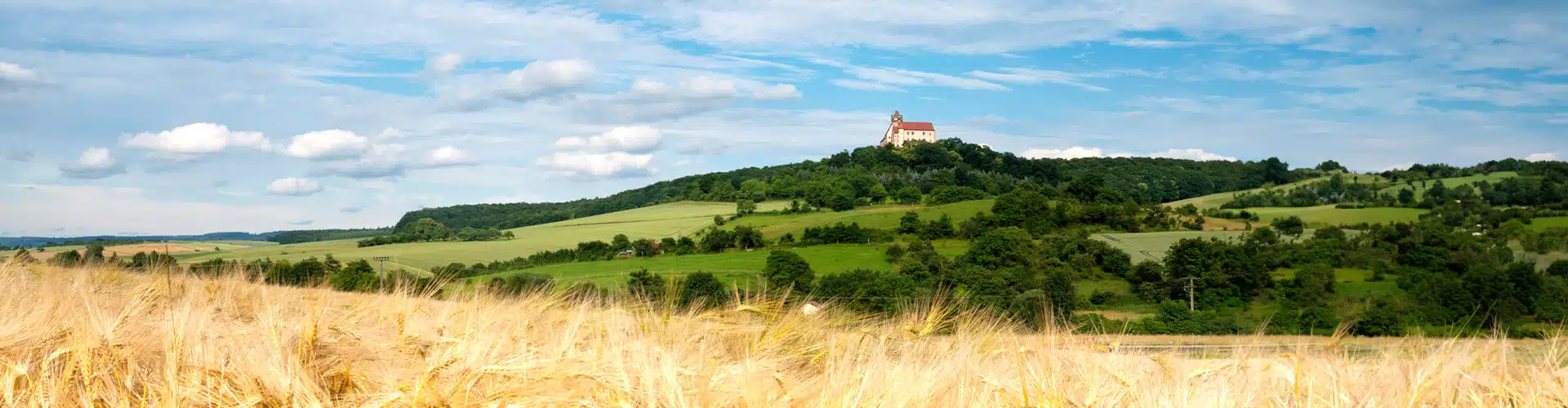 Corn fields in front of a green hill with a castle on white castle on top in Germany.