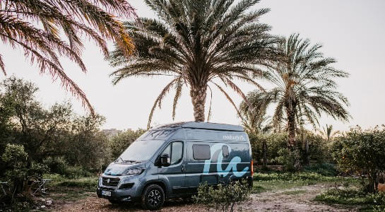 grey roadsurfer campervan surrounded by palm trees