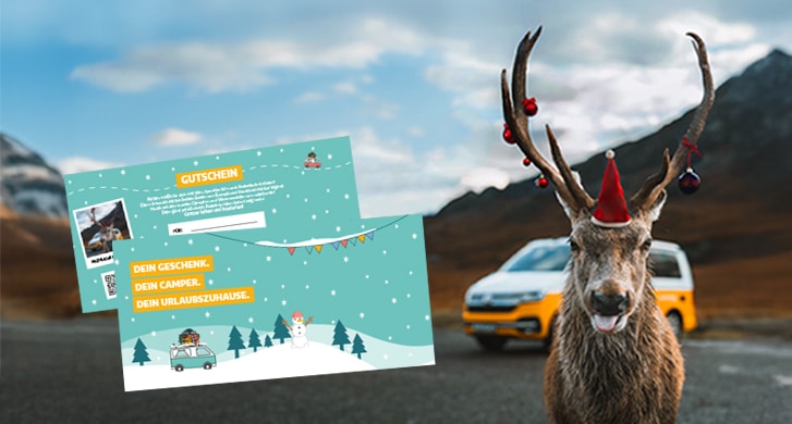 Holiday reindeer promoting christmas vouchers