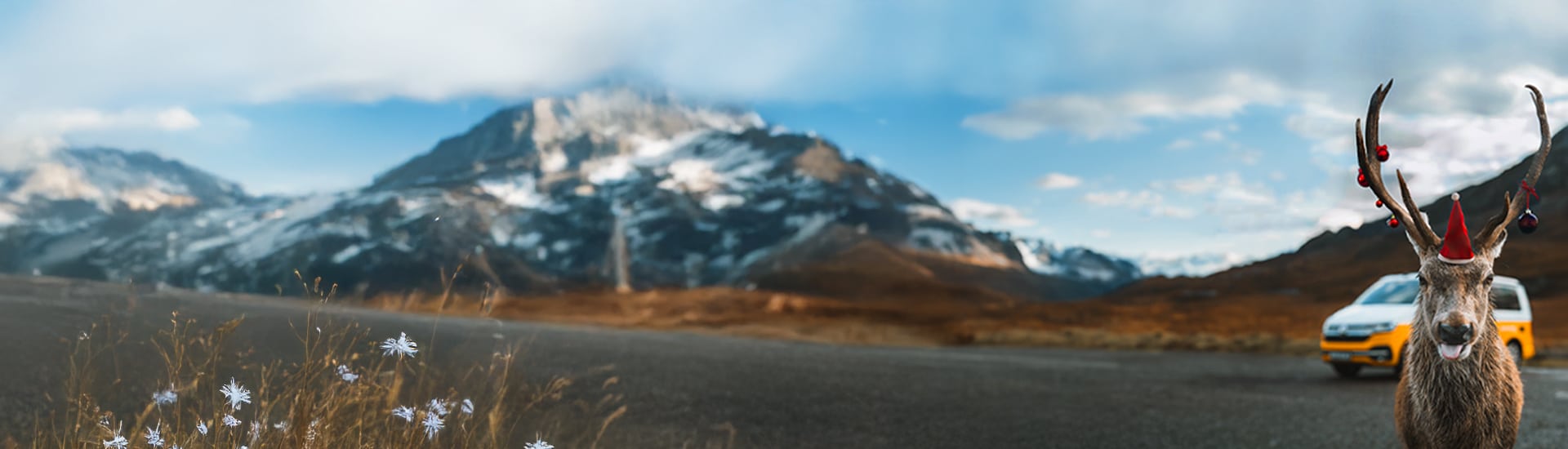 Holiday reindeer with a campervan in the mountains