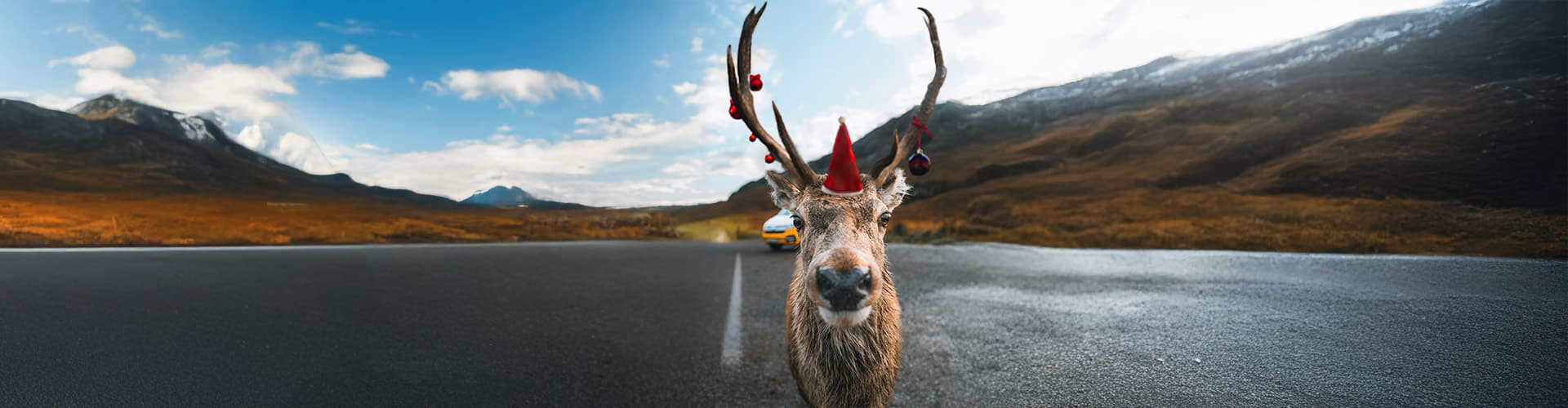 Holiday reindeer sneaking to the camera with roadsurfer campervan in the mountains
