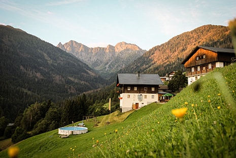 Austrian houses set on a hill with an external swimming pool further down the hill. Yellow flowers in the front of the picture and mountains in the background.