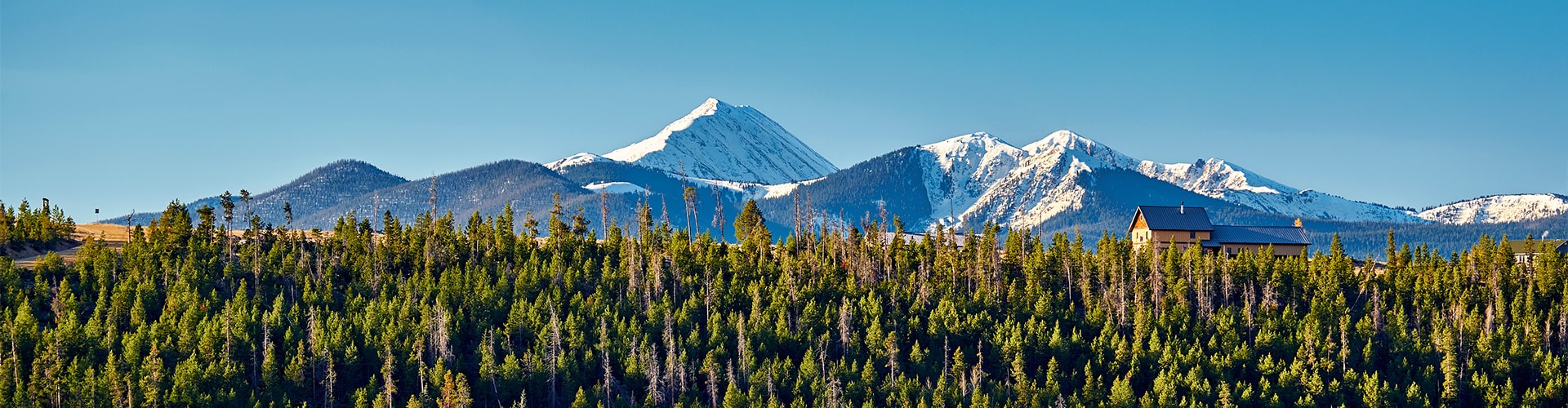 Snowy Rocky Mountains visible behind a forest on a sunny day.