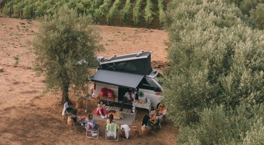 Camping in the vineyards with friends with a vw campervan