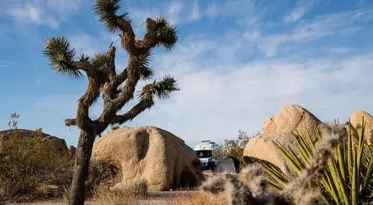 RV parked among Joshua trees and giant rock formations in the desert landscape