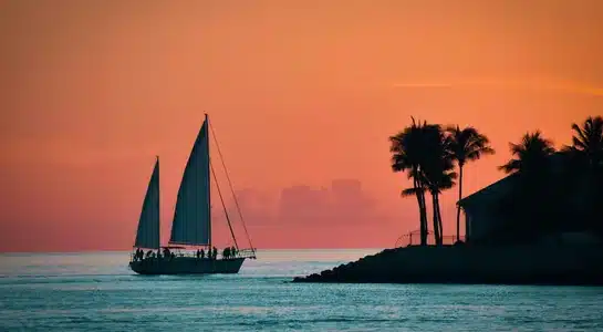 Sailboat gliding past palm trees at sunset in Key West, Florida Keys.