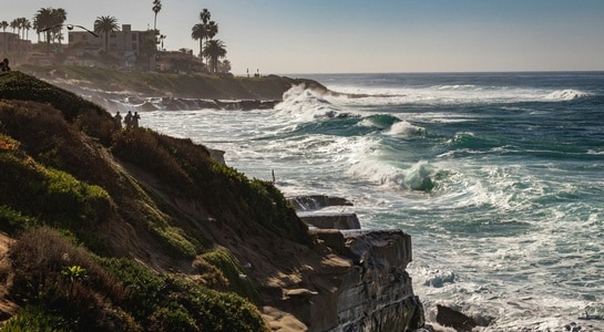 Waves crashing against rocky cliffs and palm trees at La Jolla Cove, a favorite destination for Southern California beaches.
