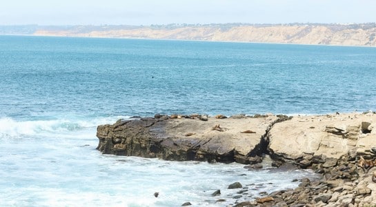 Sea lions resting on rocky La Jolla point with waves and cliffs—fun things to do in Southern California with kids.
