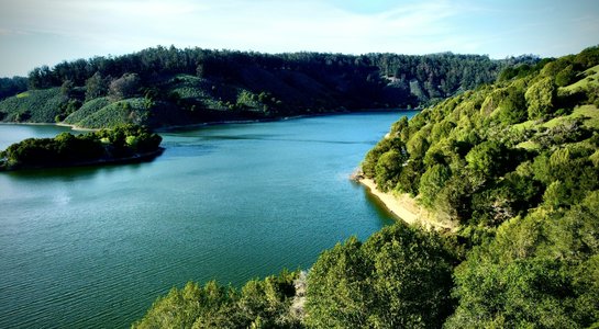 A calm view of Lake Chabot with emerald hills, tree-lined shoreline, and a small sandy cove in the Bay Area.
