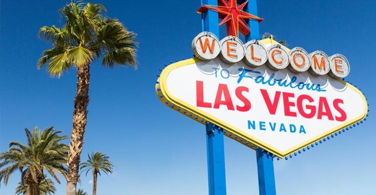 Las Vegas sign in USA with Palmtree and blue sky
