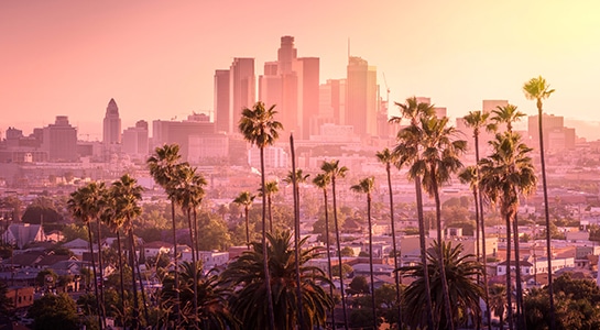 Los Angeles, California skyline at sunset with palm trees and skyscrapers