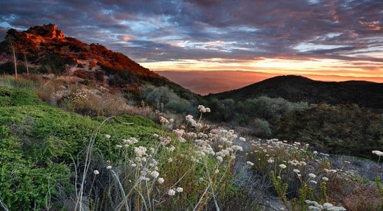 RV parked near the creek surrounded by oak trees and canyon cliffs in Malibu Creek State Park, California