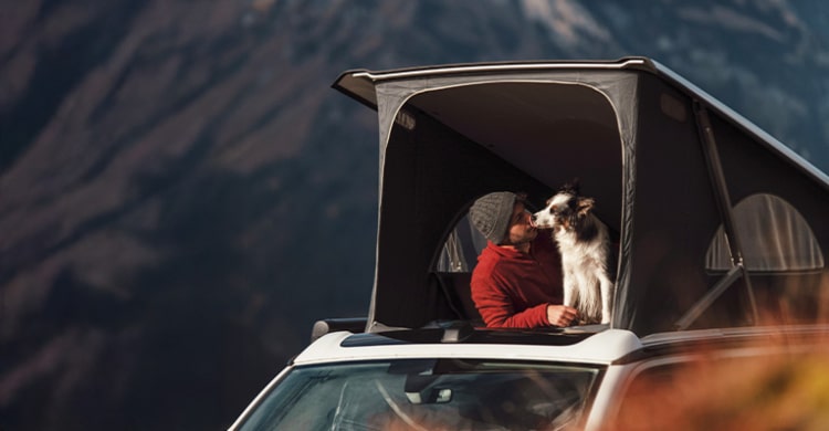 Man kissing his dog in the rooftop tent of a campervan.