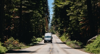 motorhome driving on a road through a forest