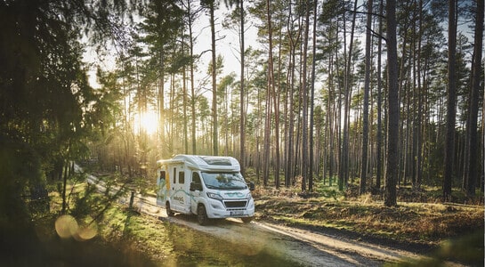 roadsurfer motorhome driving on a road through a forest with the sunset chasing them from behind