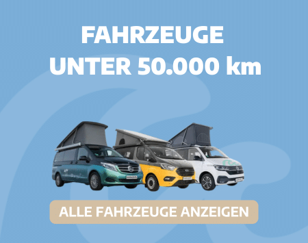Myroadsurfer Fahrzeuge Unter 50000km