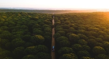 One-way RV rental driving along a straight forest road at sunset, viewed from above