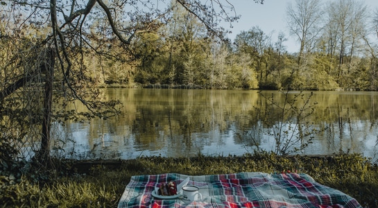 Picnic blanket laid out on grass in front of a lake.