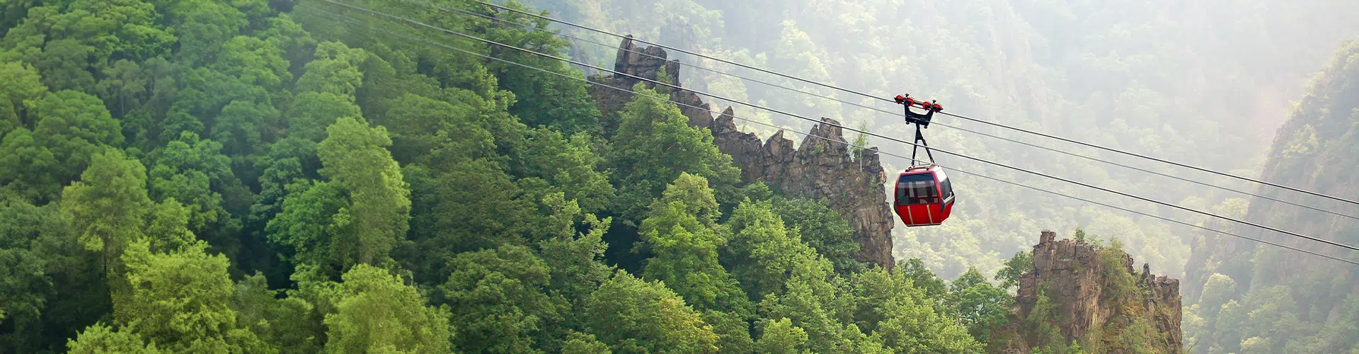 A red cable car going up a mountain surrounded by green trees