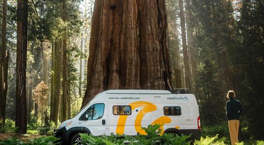 roadsurfer RV parked under towering redwoods at Jedediah Smith State Park on a Seattle to San Francisco road trip