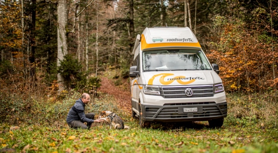A motorhome is parked in the forest and a man sits next to the vehicle and pets his dog