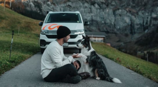 man and dog in the mountains sitting next to a campervan