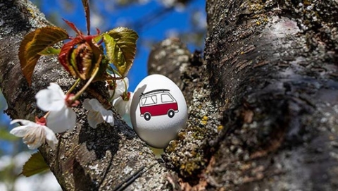 Easer Egg in a Tree