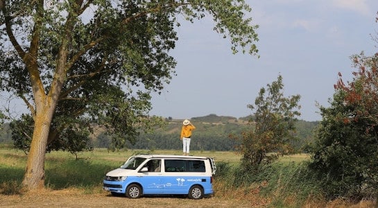 Girl with a straw hat standing on top of a campervan next to a tree in summer