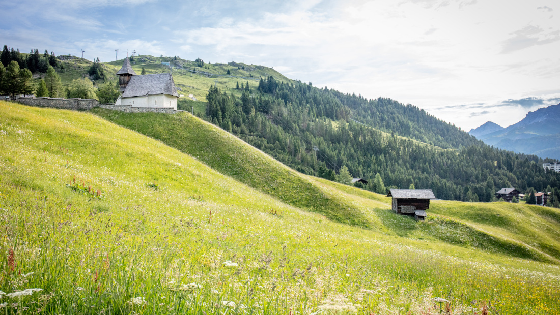 Fields in Arosa, Switzerland