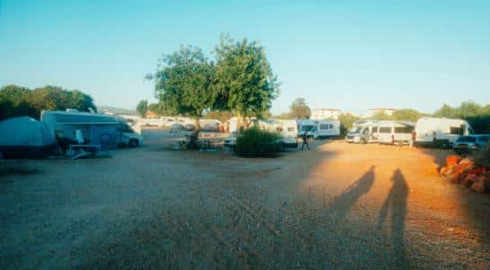 Public RV parks with an Airstream trailer and truck parked among tall forest trees