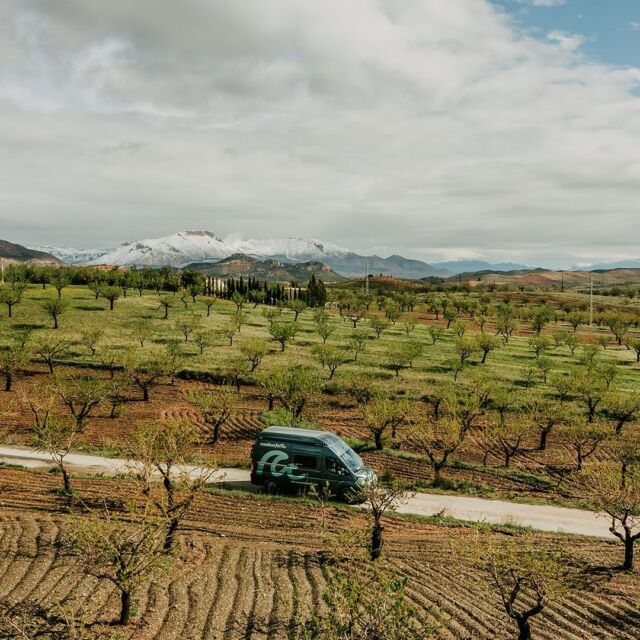 Get the free roadsurfer spots app and book your stay at Rec.On in Southern Spain where every little detail turns into something amazing. This is one of the most special eco camps you’ll ever visit. Meditate, grill, craft, and hang out with your hosts Paulina & Bert. ☀️

Find the app via the link in our bio!

#roadsurfer #spring #vanlife #reiselust #bulli #fernweh #travel #traveltheworld #camping #campervan #campervanlife #vwcalifornia #beachhostel #sufersuite #campermieten #roadsurfer #roadsurferfamily #roadsurfer_camper #vanlifegermany #roadsurfing #vantastic #agrotourism #vanlifers #homeiswhereyouparkit #roadsurferspots #vanlifespain #spaincamping