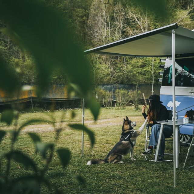 Raise your paw if you love camping trips in sunny spring! 🐶🙌
Book your van now and catch the best off-season price.

#roadsurfer #spring #vanlife #reiselust #bulli #fernweh #travel #traveltheworld #camping #campervan #campervanlife #vwcalifornia #beachhostel #sufersuite #campermieten #roadsurfer #roadsurferfamily #roadsurfer_camper #vanlifegermany #roadsurfing #vantastic #agrotourism #vanlifers #homeiswhereyouparkit #roadsurferspots #vanlifeitaly #italycamping
