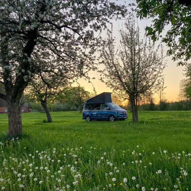 Welcome summer the best way possible: spend the night on an open field - wake up amidst the flowers! Get the free roadsurfer spots app and find the best legal campgrounds in Europe. Download via the link in our bio. 🌳

#roadsurfer #spring #vanlife #reiselust #bulli #fernweh #travel #traveltheworld #camping #campervan #campervanlife #vwcalifornia #beachhostel #sufersuite #campermieten #roadsurfer #roadsurferfamily #roadsurfer_camper #vanlifegermany #roadsurfing #vantastic #agrotourism #vanlifers #homeiswhereyouparkit #roadsurferspots #vanlifeportugal #portugalcamping