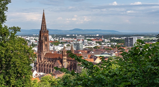 View over the Cathedral in Fribourg with the city and mountains in the background.