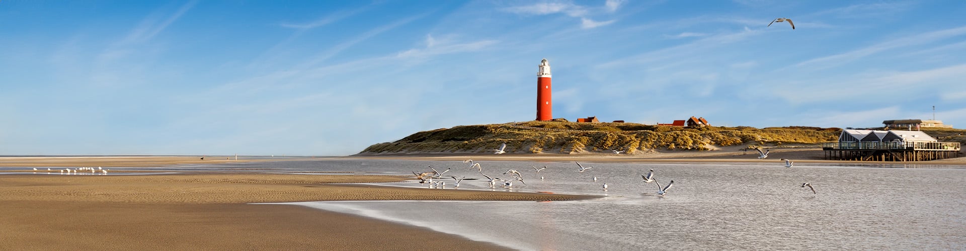 A red light house set on a hill directly at a beach. Picture was taken from the shore and seagulls are seen walking right next to the water.