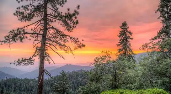 Vibrant sunset casting colorful light over the forested landscape of Sequoia National Park