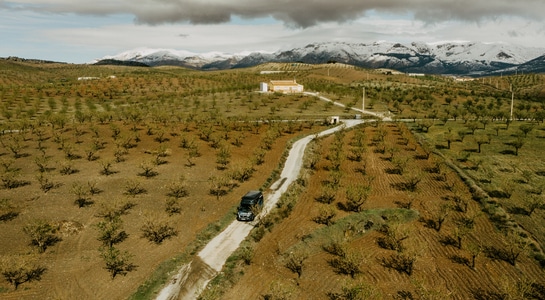 Campervan driving through a olive tree road at the Sierra Nevada mountains in Spain