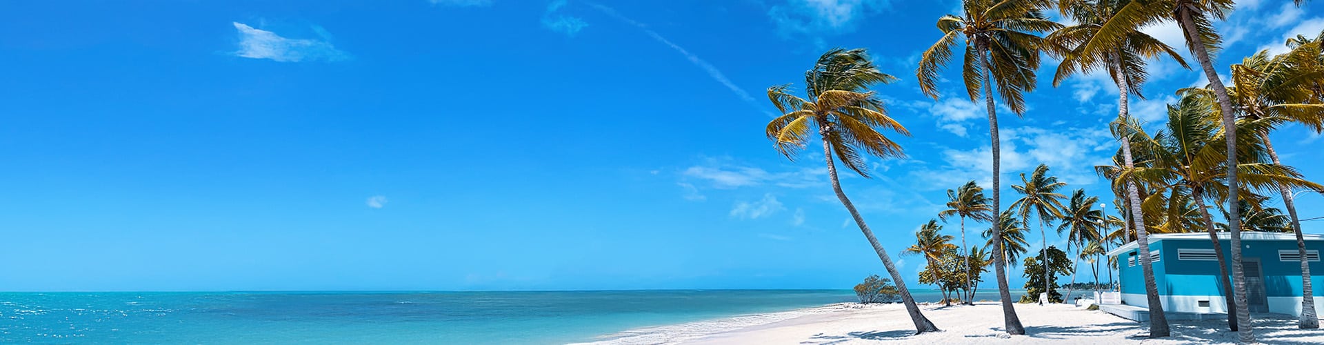 Palmtrees on a sandy beach with a blue house at the right side and the sea to the left.