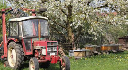 red tractor in front of an apple tree