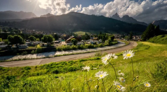 roadsurfer spot in south tyrol, daisies in the front
