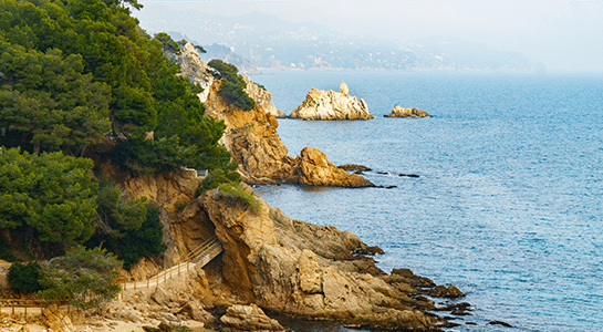 Stoney cliffs partly overgrown with bushes right at the sea