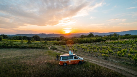 Couple sitting on a campervan standing at a wine field, looking into the sunset