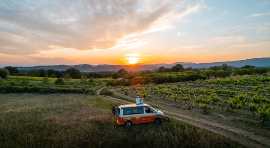Couple sitting on a campervan standing at a wine field, looking into the sunset