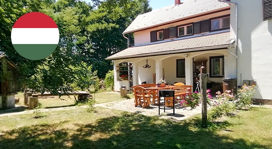 Unique finca in Hungary with white columns and large garden