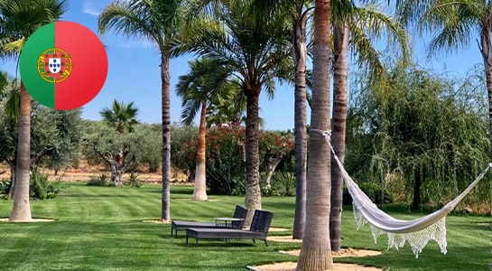 Idyllic campsite in Portugal with sunbeds, palm trees and hammocks