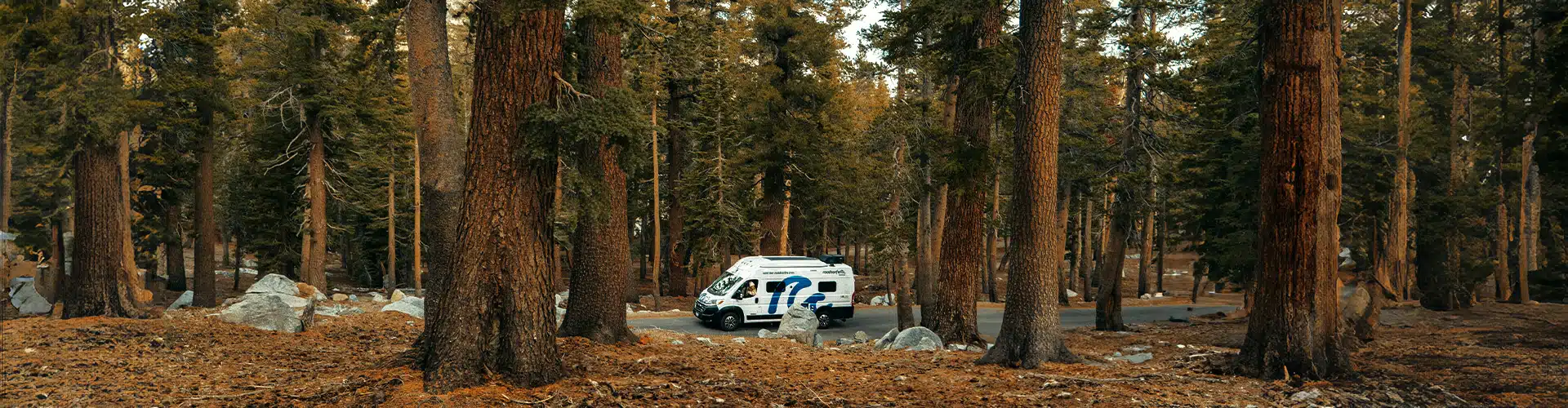 Van drives through forest